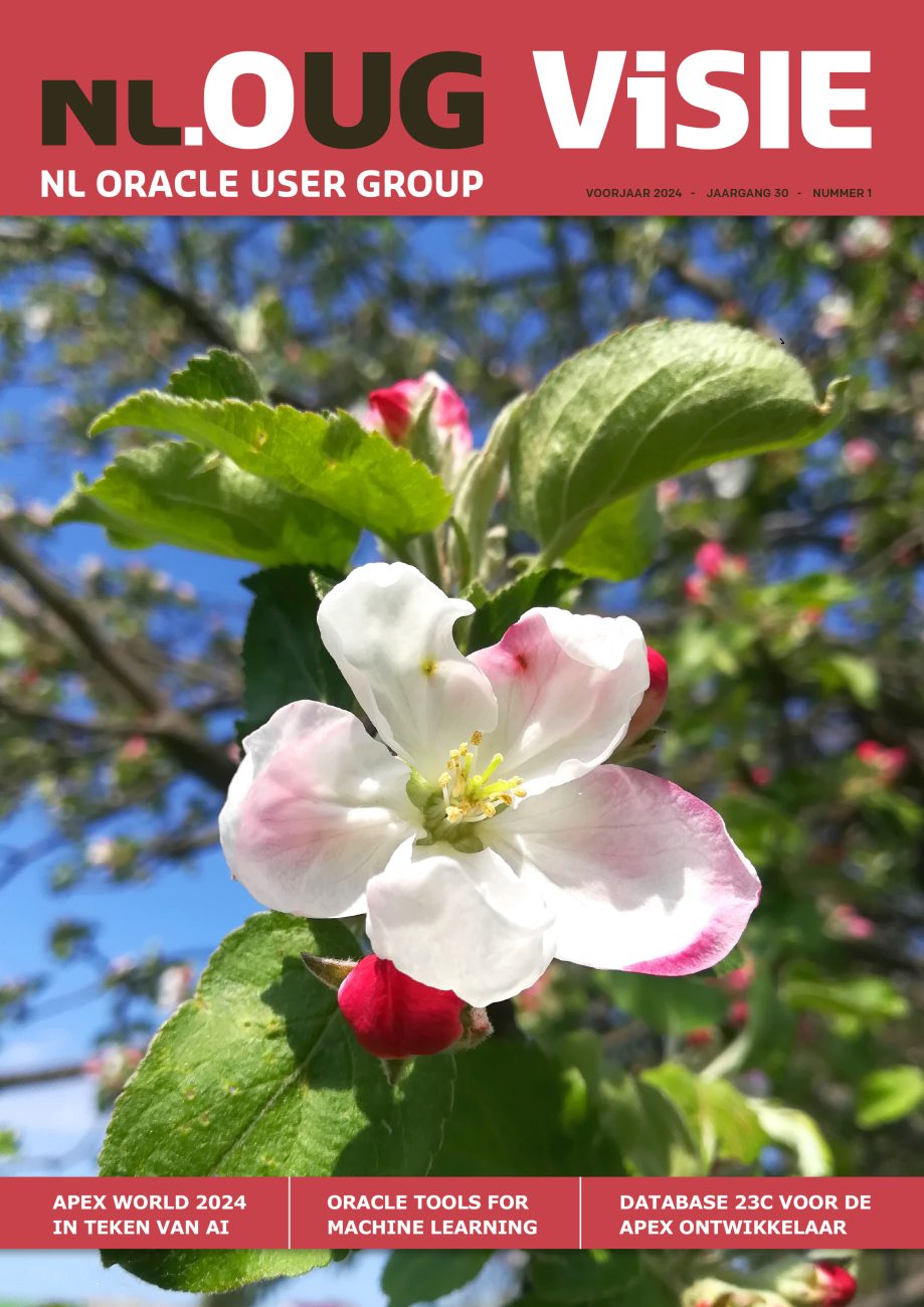 nlOUG Visie april 2024